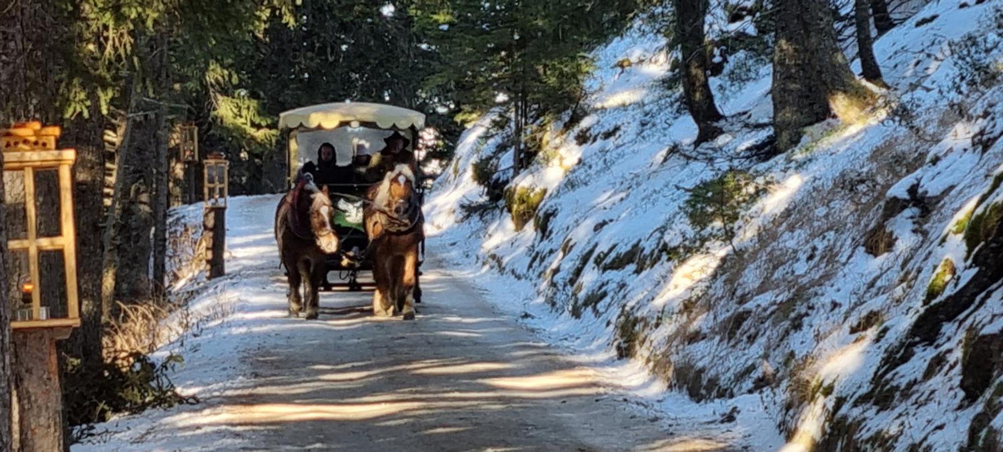 Ferienwohnung Pirker Spittal an der Drau Exteriör bild